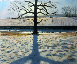 Baum und Schatten, Calke Abbey, Derbyshire